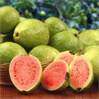 Guayaba